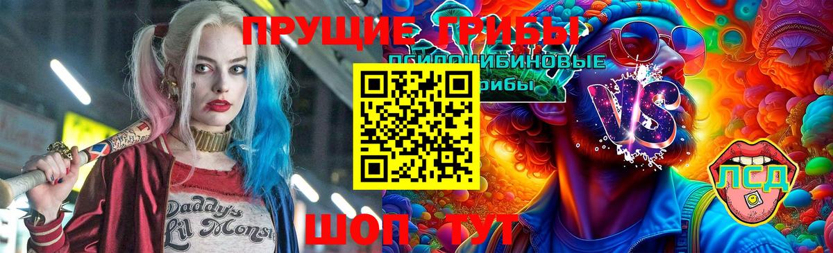 где купить наркотик  Вход с VPN  Зеленогорск  Псилоцибиновые грибы мухоморы 